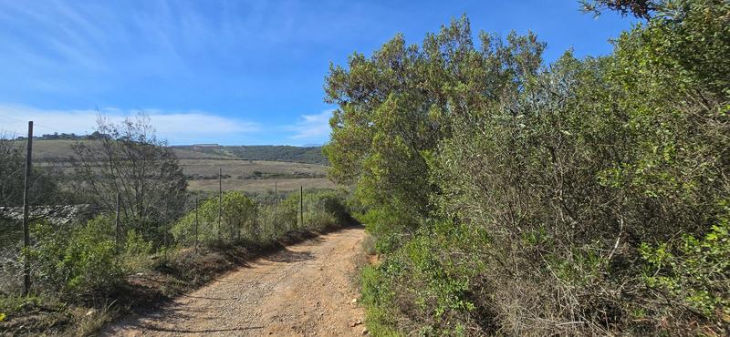 0 Bedroom Property for Sale in Groot Brakrivier Central Western Cape